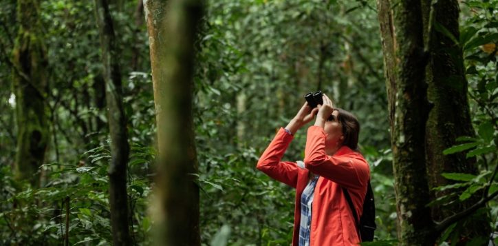 khu-du-lich-sinh-thai-danang