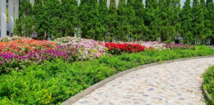 vuon-hoa-ba-na-hill-flower-garden