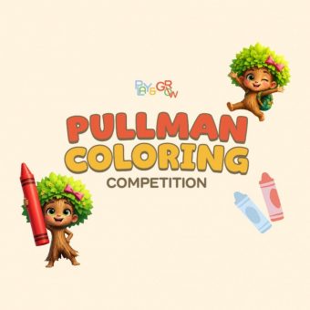 pullman-coloring-competition