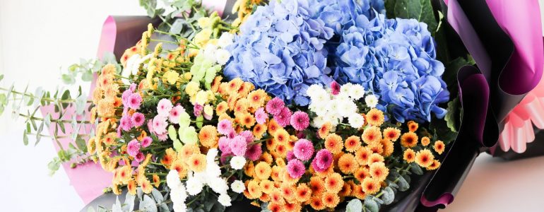 sofitel-flower-collection