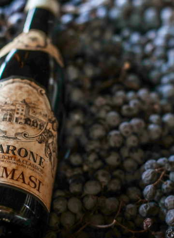 tommasi-wine-dinner
