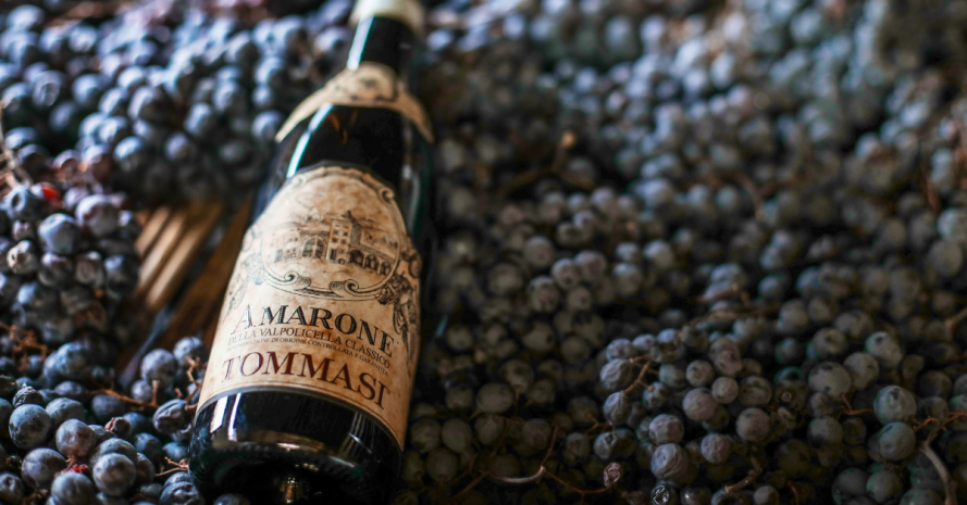 tommasi-wine-dinner