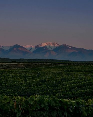 wine-affair-susana-balbo