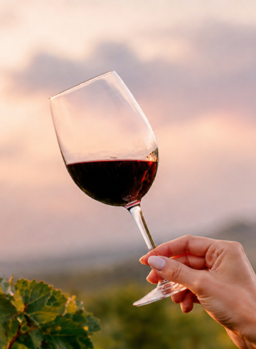 a-taste-of-marche