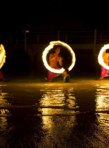 festive-season-offer