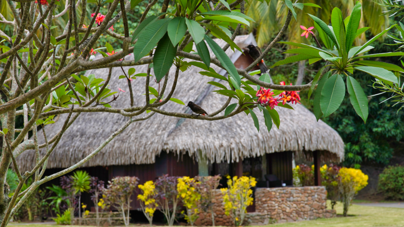 luxury-garden-beach-view-villa