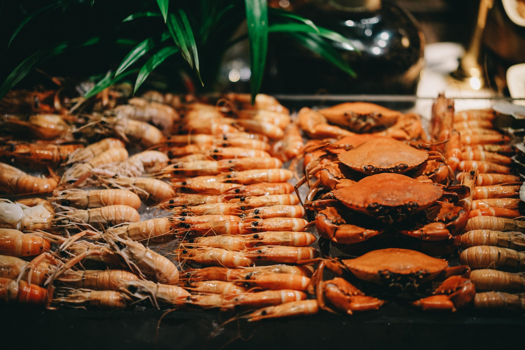 Seafood Buffet Saigon, Ho Chi Minh Hotel Des Arts Saigon