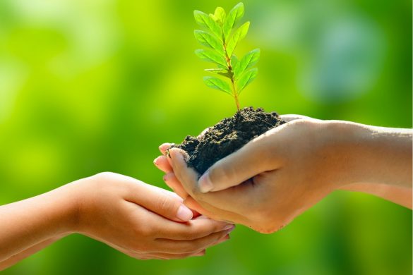 net-zero-carbon-calculator