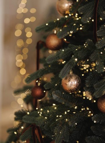 tinh-hoa-mua-le-hoi-tai-the-albion