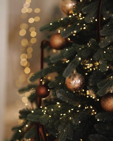 tinh-hoa-mua-le-hoi-tai-the-albion