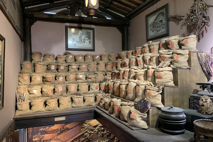 museum of traditional medicine saigon chinatown