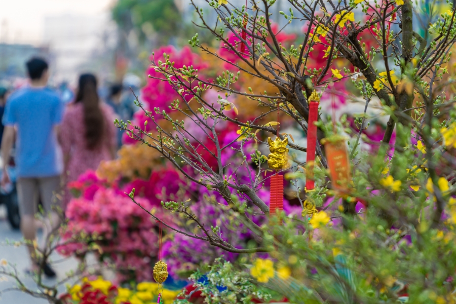 tet is ideal time to visit vietnam