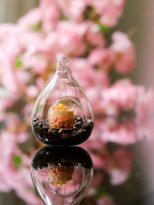 Blossom Afternoon tea treat