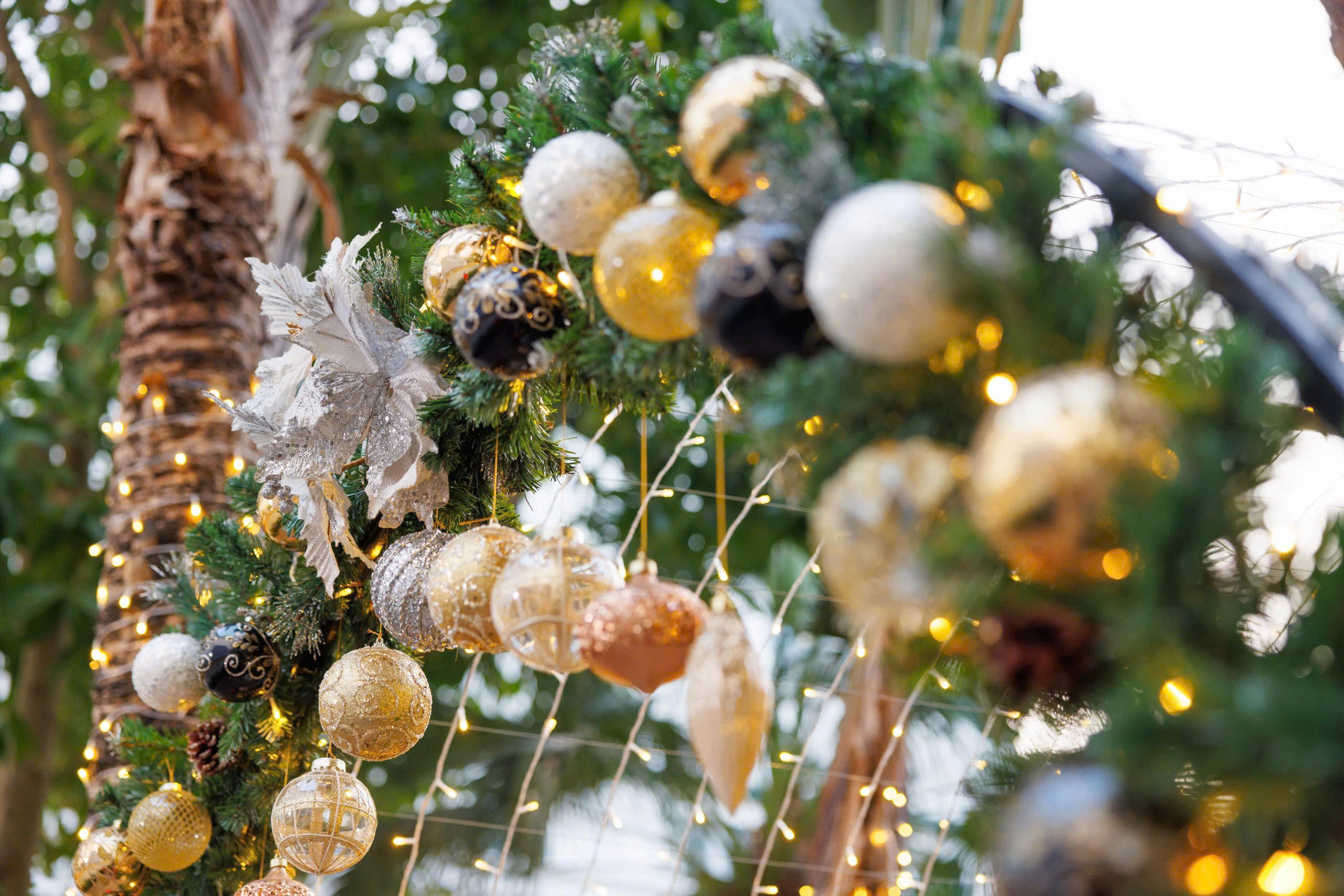 2025-festive-season-luminescent-dreamscape