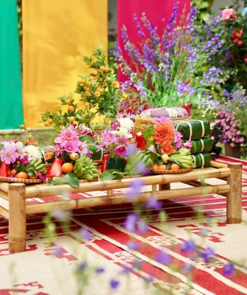 metropole-tet-programme-2026