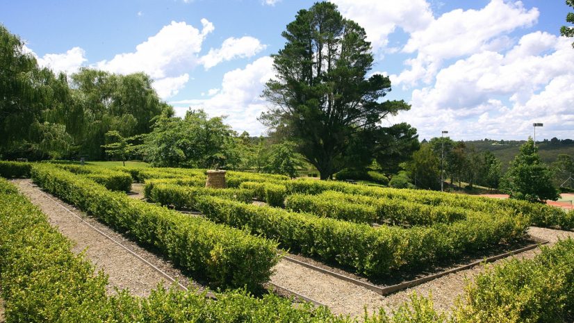 garden-maze