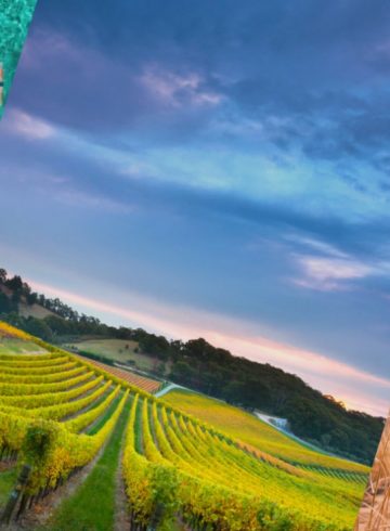 take-two-2020-with-accor-australia